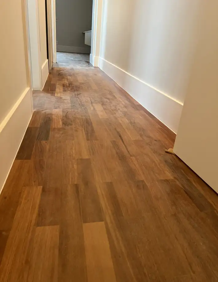 PROJ 04 V1